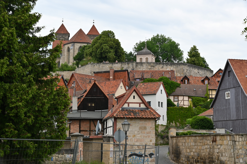 Bäume unter und auf dem Schlossberg