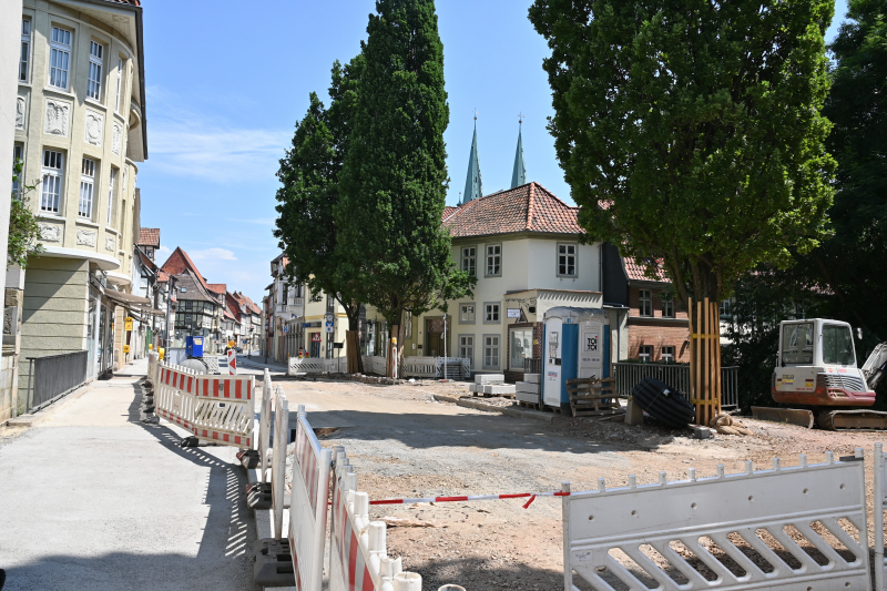 Im Bereich Zwischen den Städten wird der Steinweg von großen schattenspendenden Bäumen flankiert